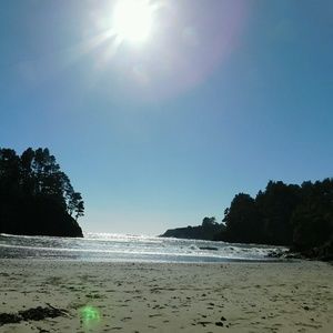 Meet your Posher, Karina